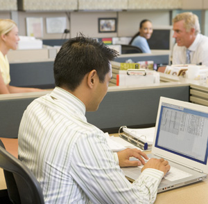 Employees in Office Setting at Desks