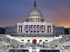 The Capitol in Washington (© Patrick Semansky/AP Images)