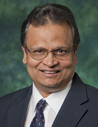 Francis D'Souza, Professor of Chemistry